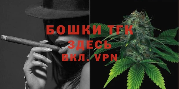 гидра Бронницы