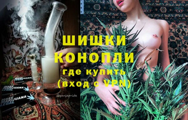 гидра Бронницы