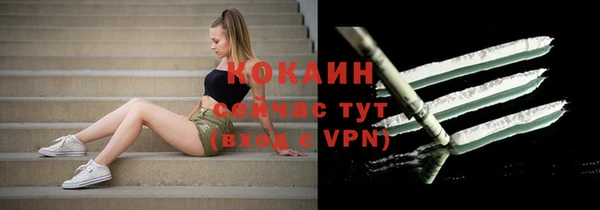 гидра Бронницы