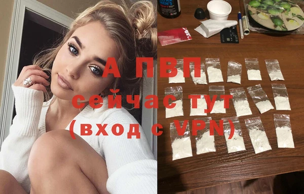 гидра Бронницы